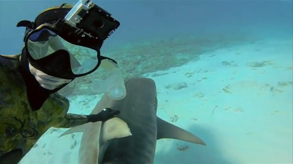 GoPro Shark Riders - Mark Healey